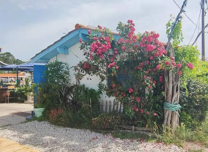 Dom wakacyjny Lanton, La Petite Maison De Vos