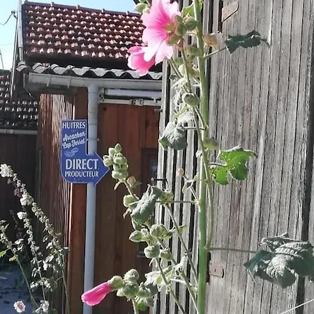 Lanton, La Petite Maison De Vos